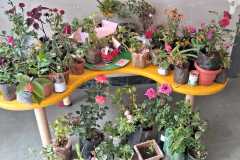 Green Week
