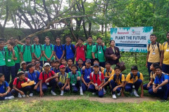 Tree Plantation